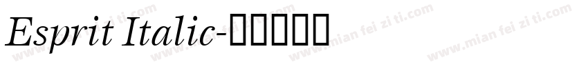 Esprit Italic字体转换